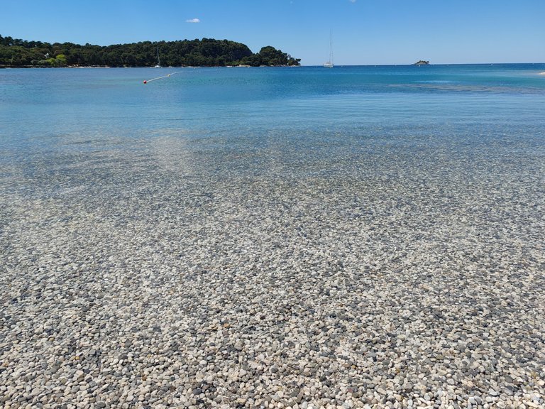 IMG_20250516_125022.jpg
