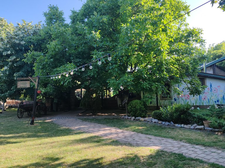IMG_20250622_172929.jpg