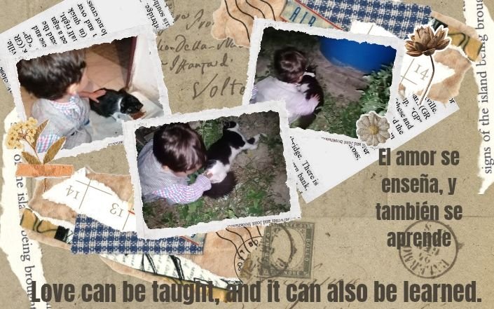 Brown Aesthetic Vintage Scrapbook Photo Collage Instagram Story (940 x 588 _20250620_174821_0000.jpg