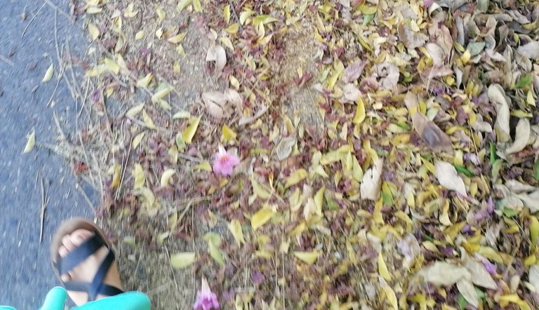 IMG_20250304_211925.jpg