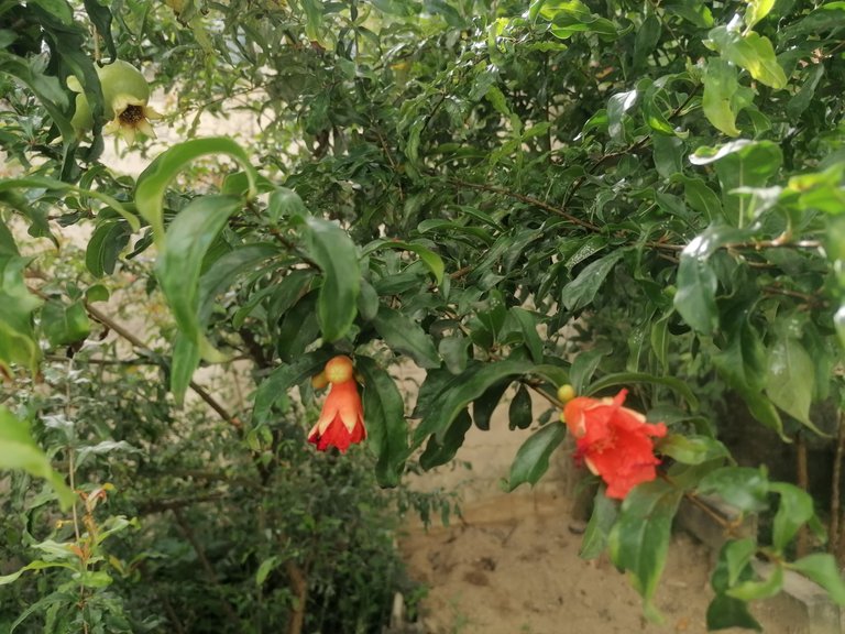IMG_20250528_085519.jpg