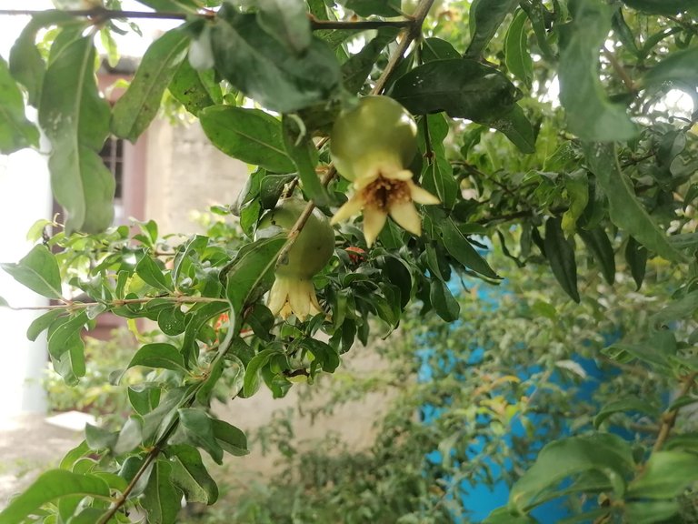 IMG_20250528_085506.jpg