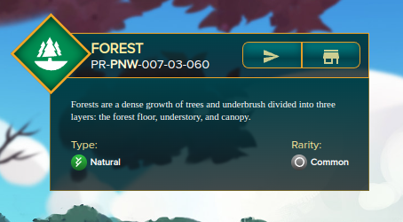 forest.png