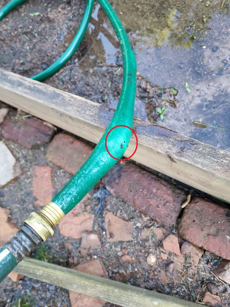 Hose Rupture the hole.jpg