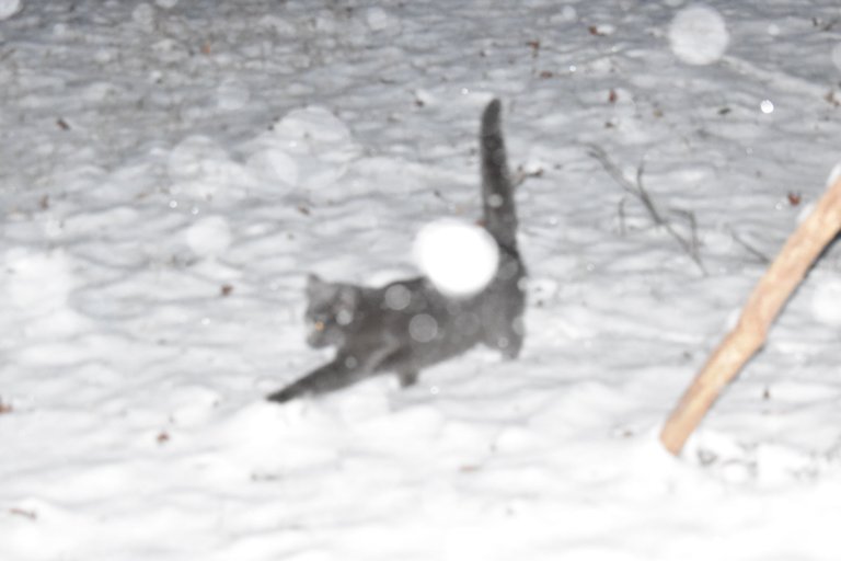 DSC_0015.JPG