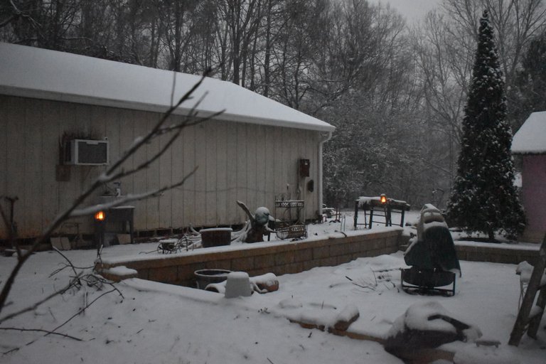 DSC_0011.JPG