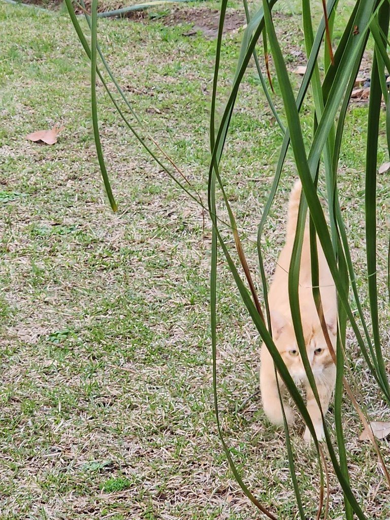 20230310_183504.jpg
