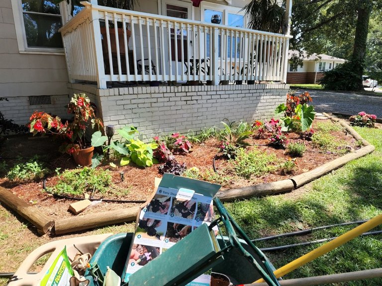 Front bed irrigation.jpg