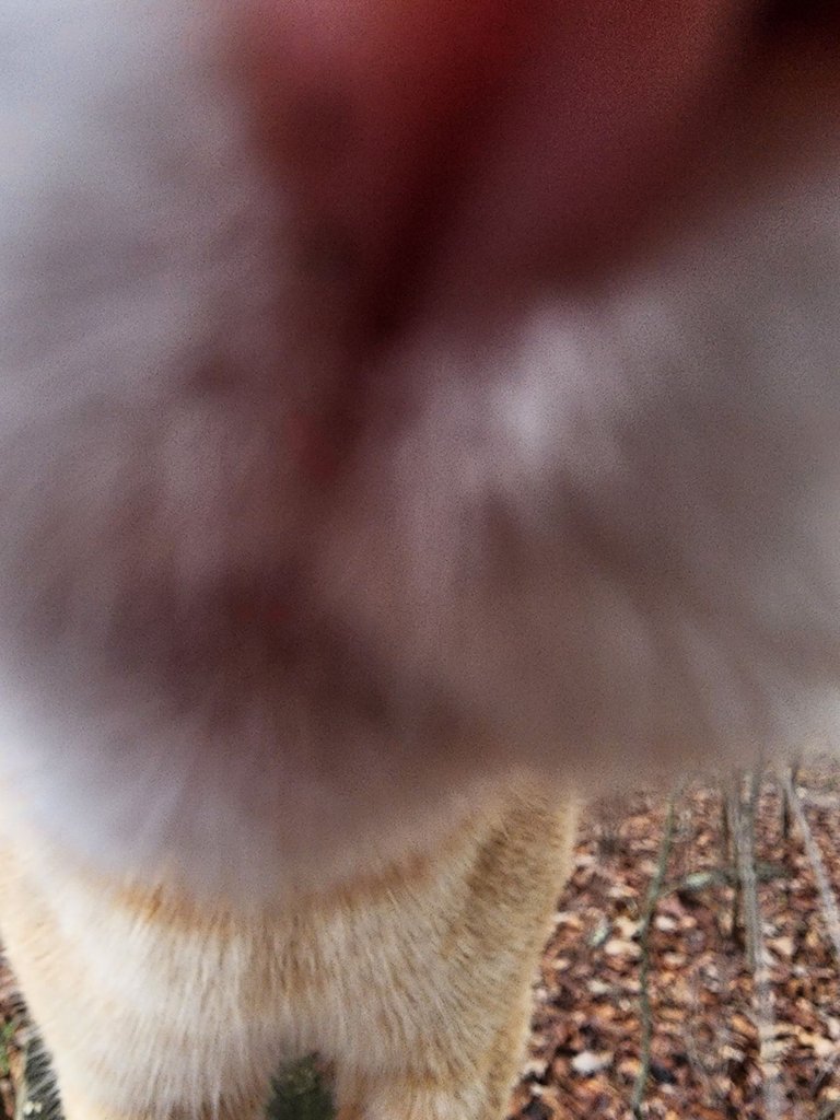 20230302_142232.jpg
