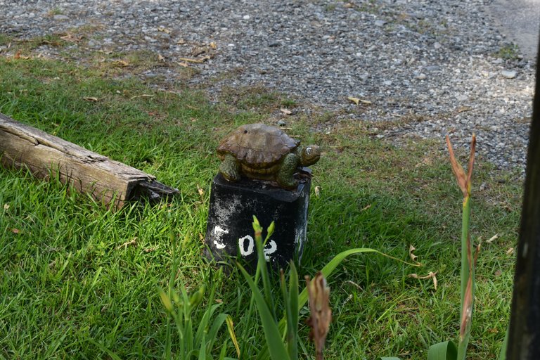 DSC_0010.JPG