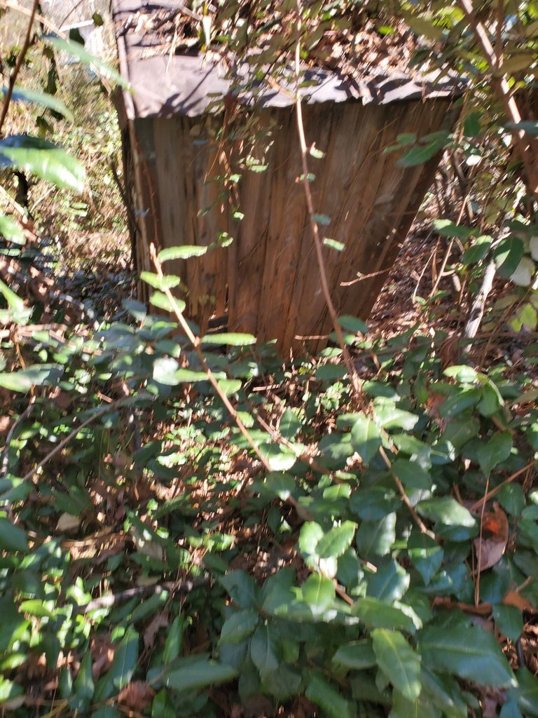 Outhouse 4.jpg