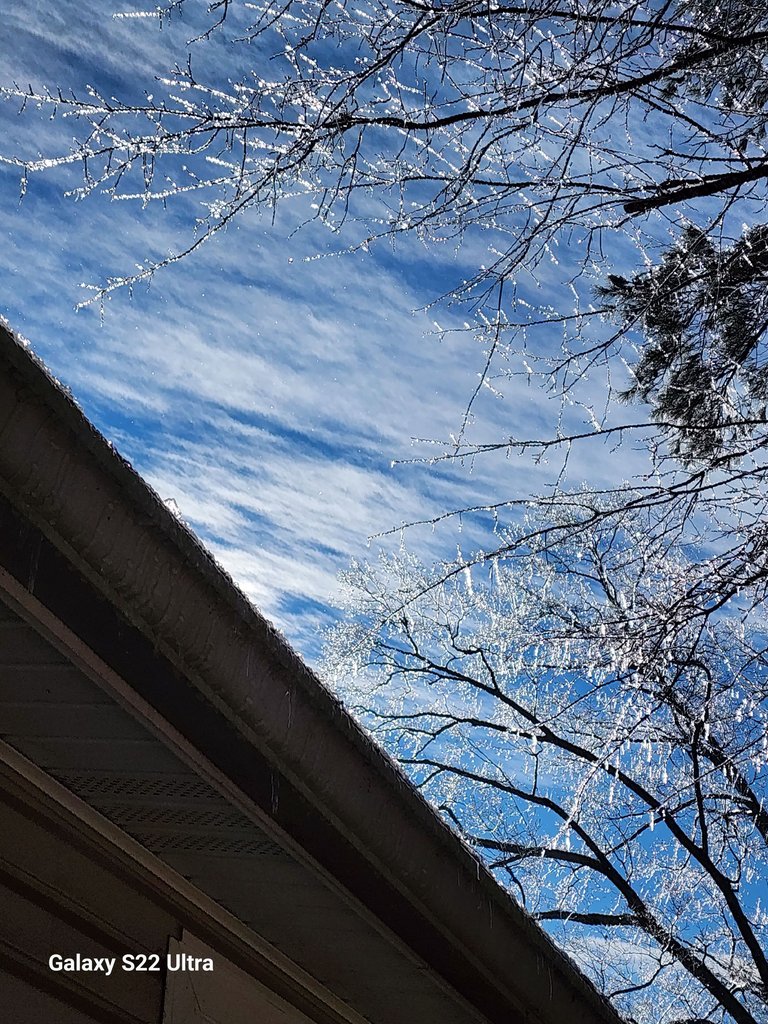20250112_103435.jpg