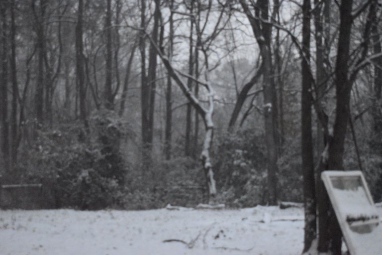 DSC_0013.JPG