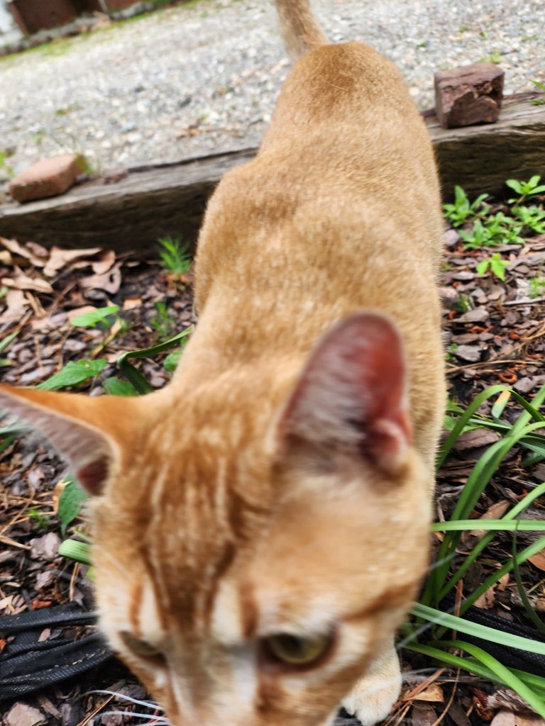 20230523_154011.jpg