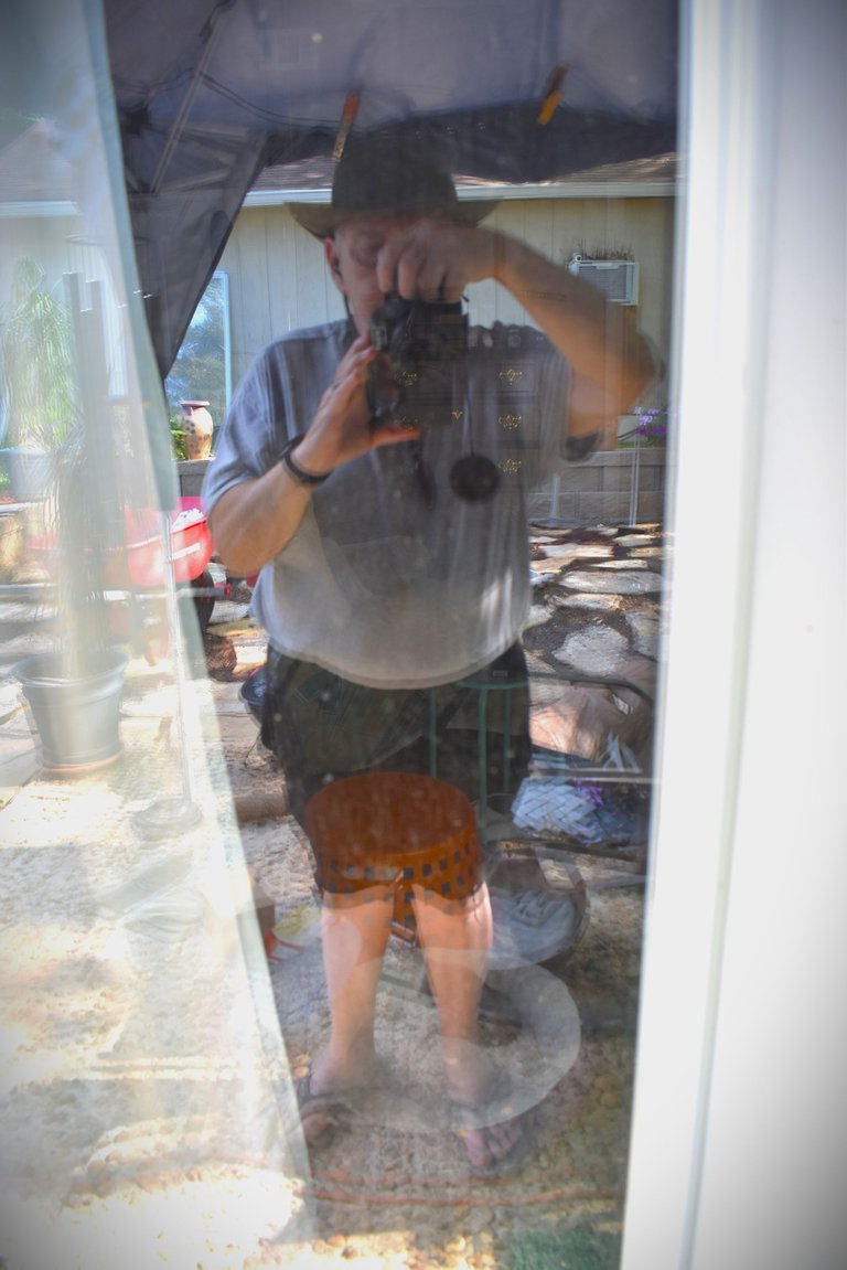 DSC_0016.JPG