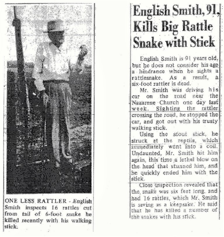 English snake 2.jpg