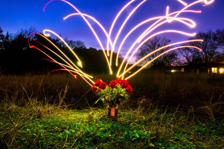 Light Painting and Roses