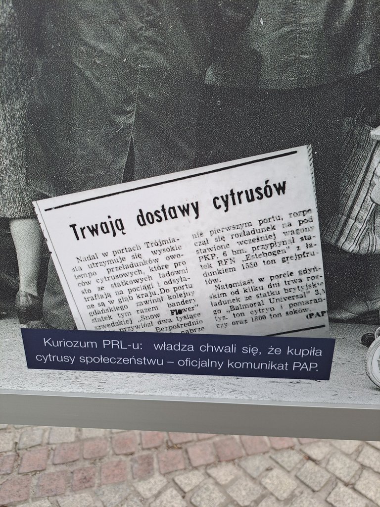 1000021071.jpg
