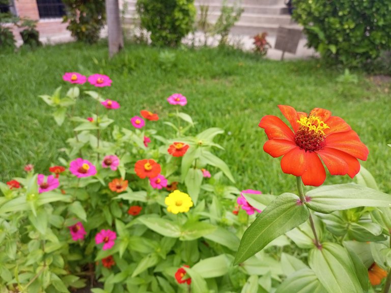 IMG_20230710_113851_935.jpg