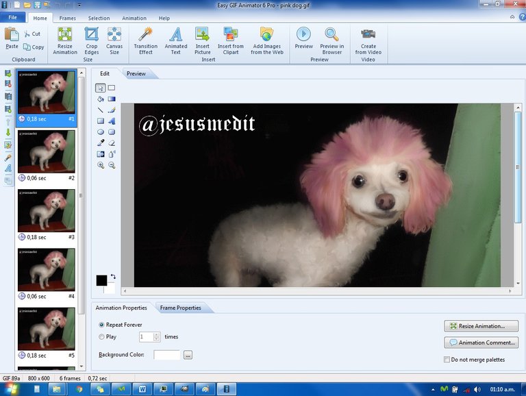 easy gif pink dog.jpg