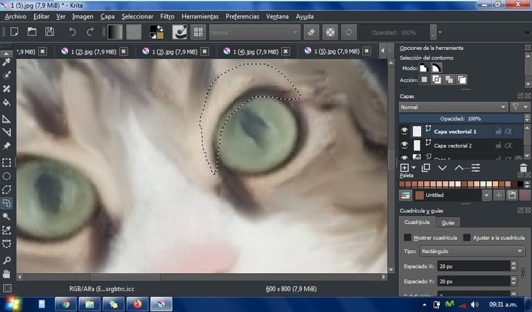 eyes cat.jpg