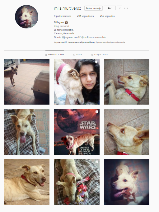 Instagram feed mila.multiverso .png