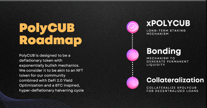 polycub roadmap.png