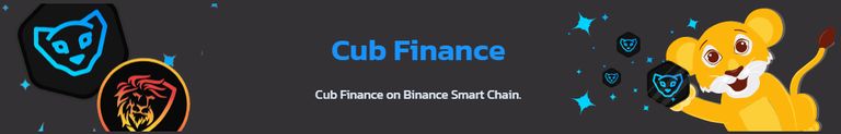 5-9 cub finance.png