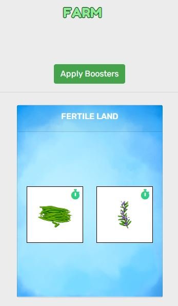 planted French Bean and Rosemary.JPG