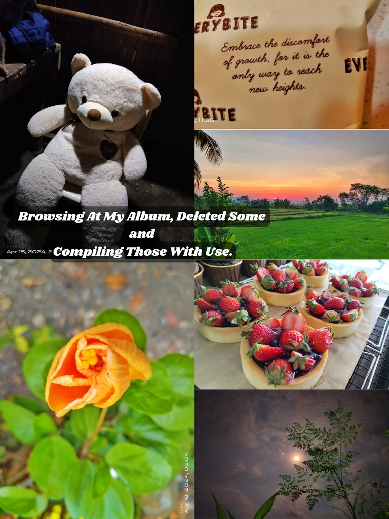 Browsing At My Album, Deleted Some and Compiling Those With Use._20240518_223033_0000.png