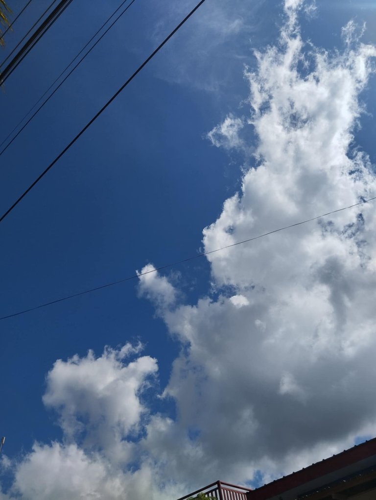 b1cb7919-a4b4-405f-a083-77d1d29695c2.jpg