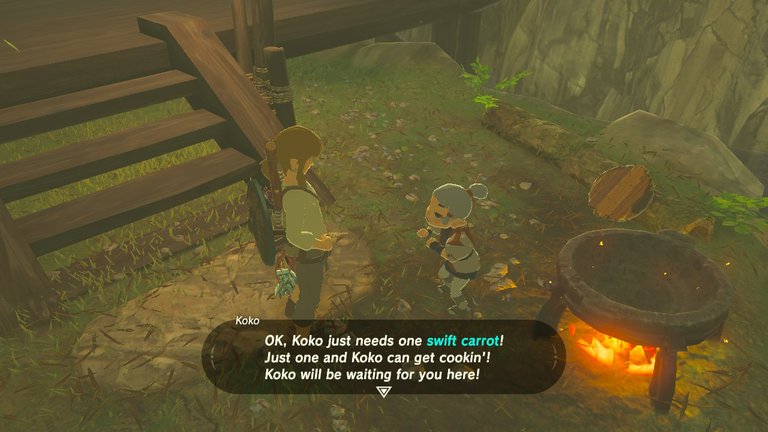 29botw.jpg