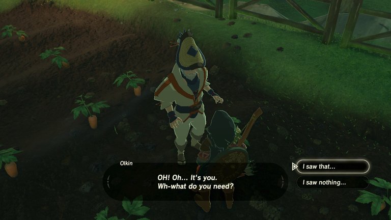 40botw.jpg