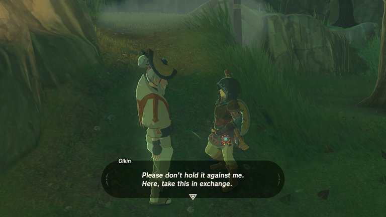 35botw.jpg