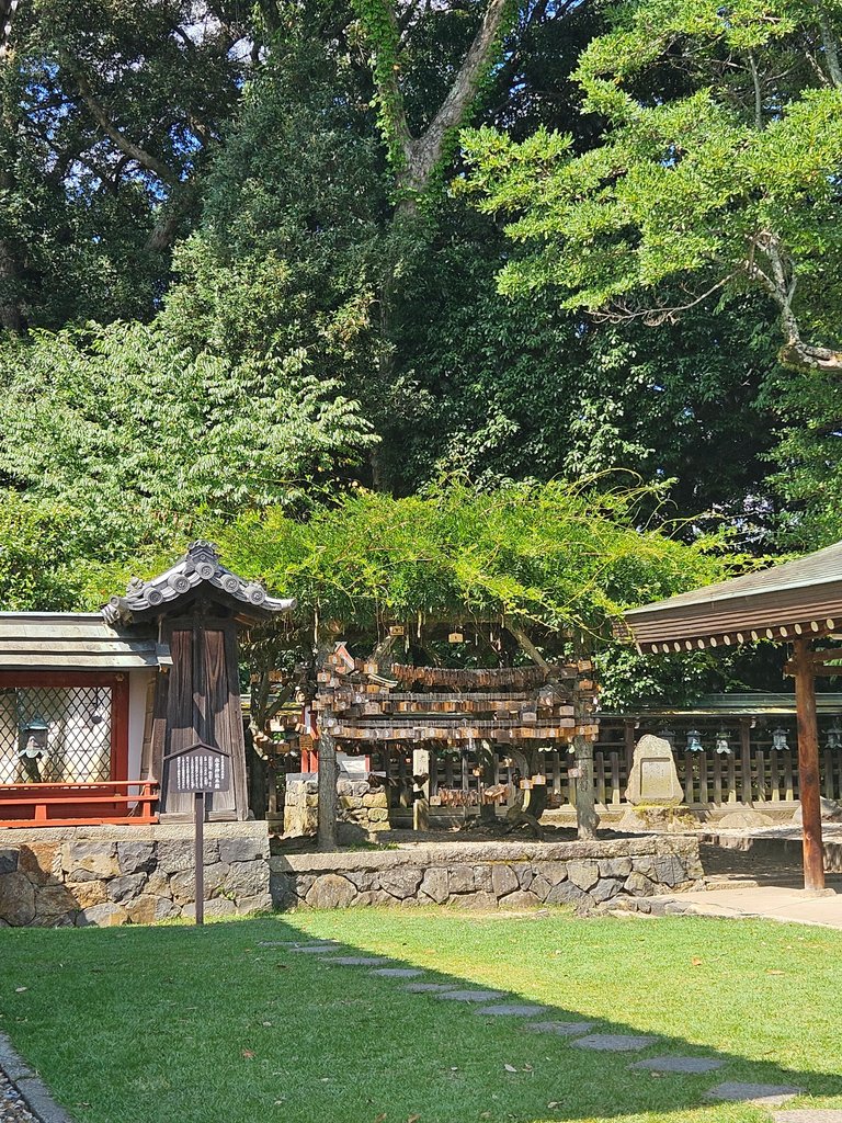 homurishrine8.jpg