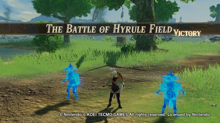 10hyrulewarriors.jpg