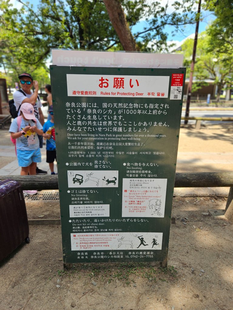 narapark4.jpg