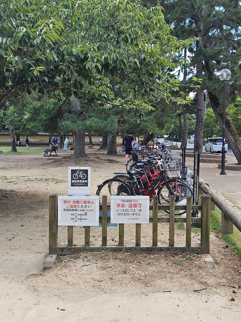 narapark17.jpg