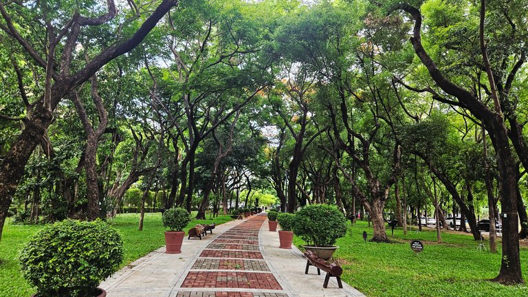 walk35.jpg