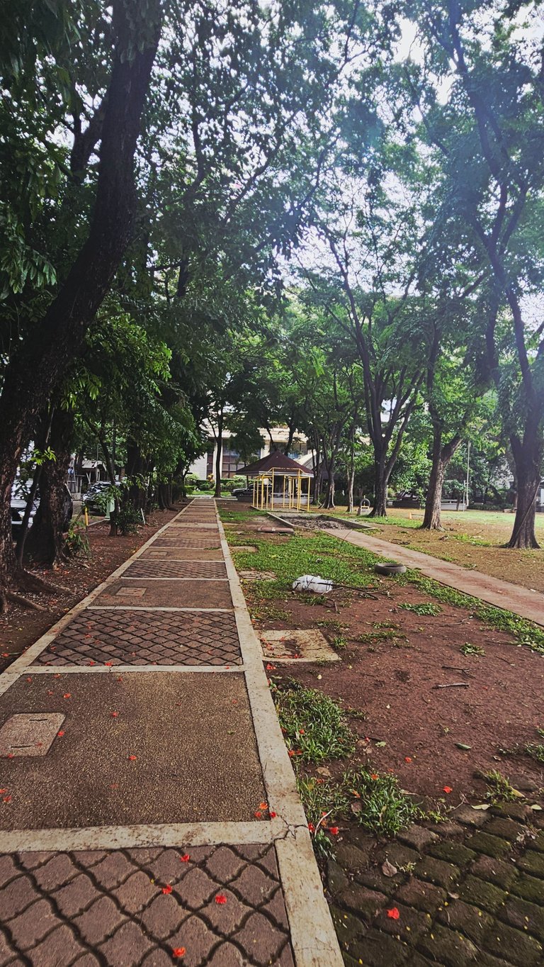 walk310.jpg