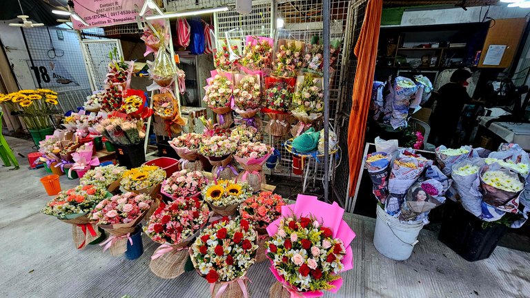 dangwa9.jpg