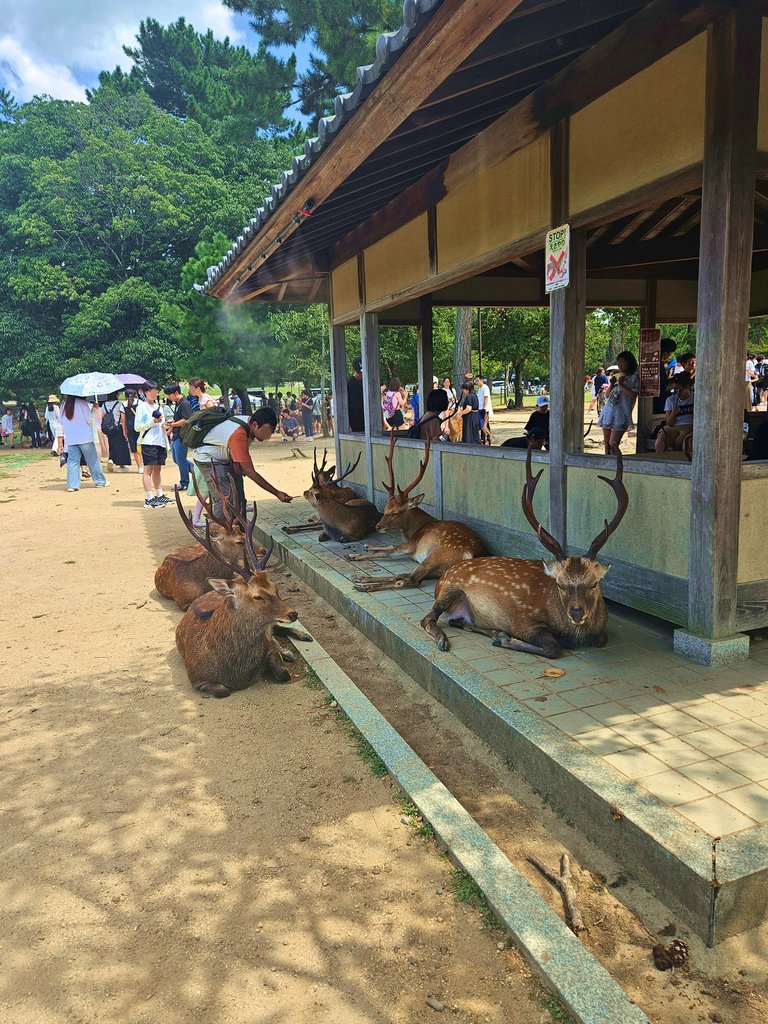 narapark201.jpg