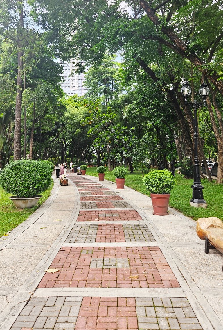 walk341.jpg