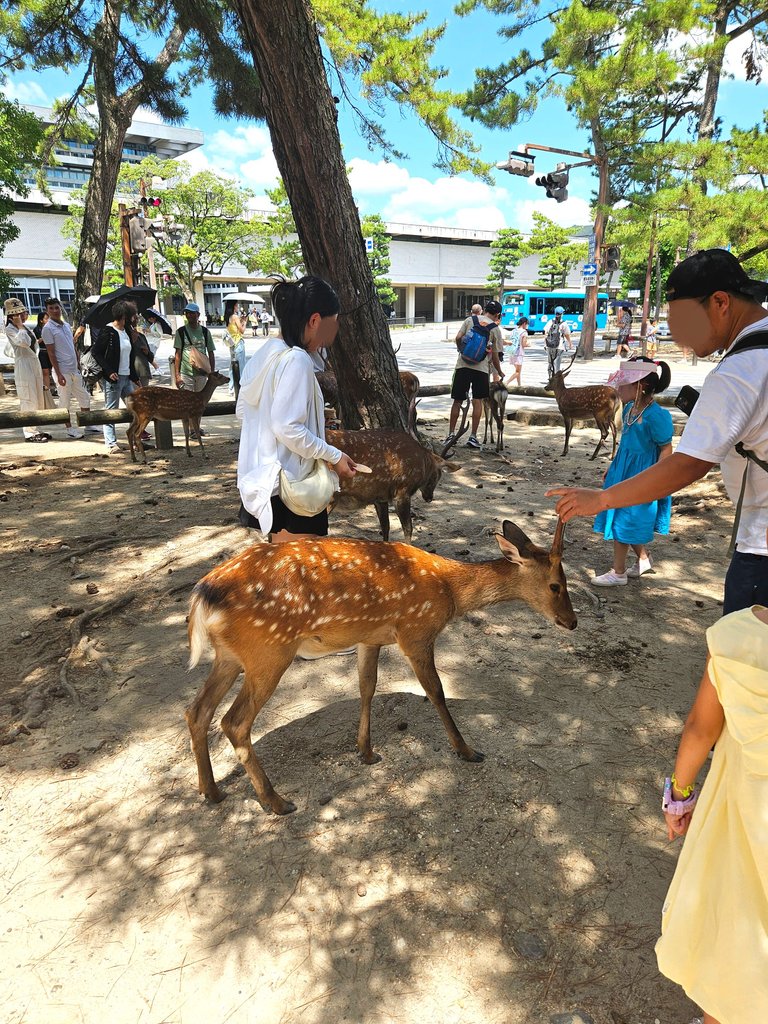 narapark151.png