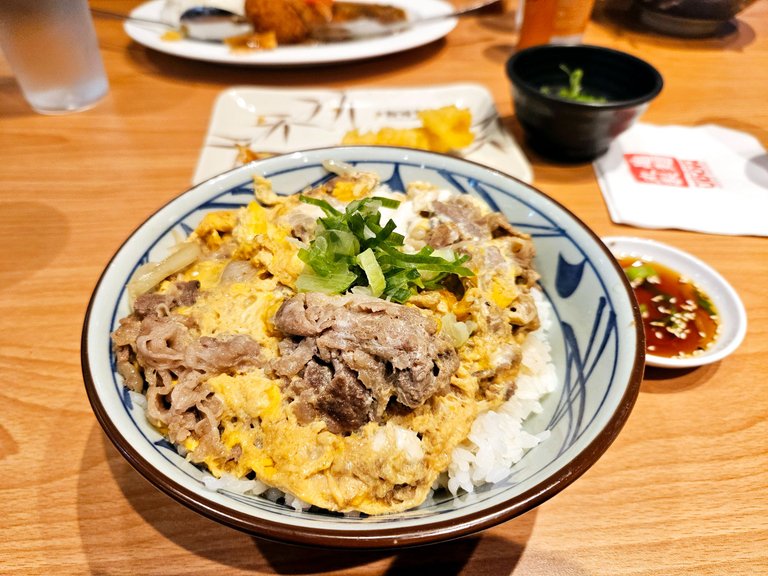 marugameudon15.jpg