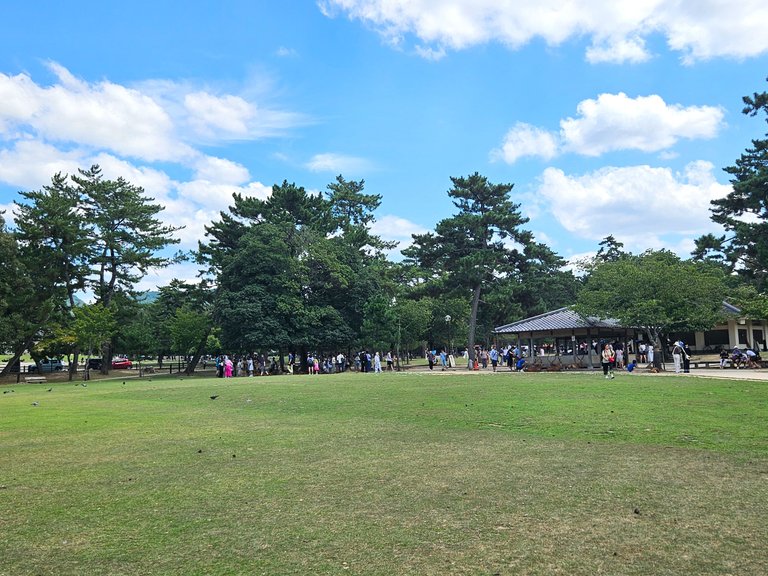 narapark18.jpg