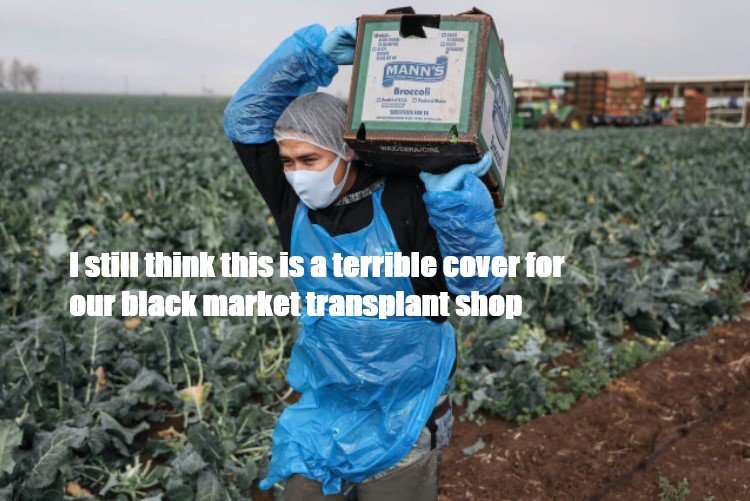 transplant.jpg