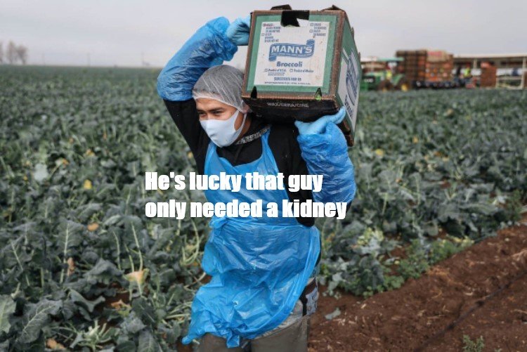 kidney.jpg