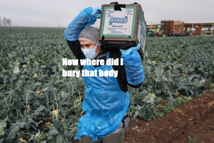 body.jpg