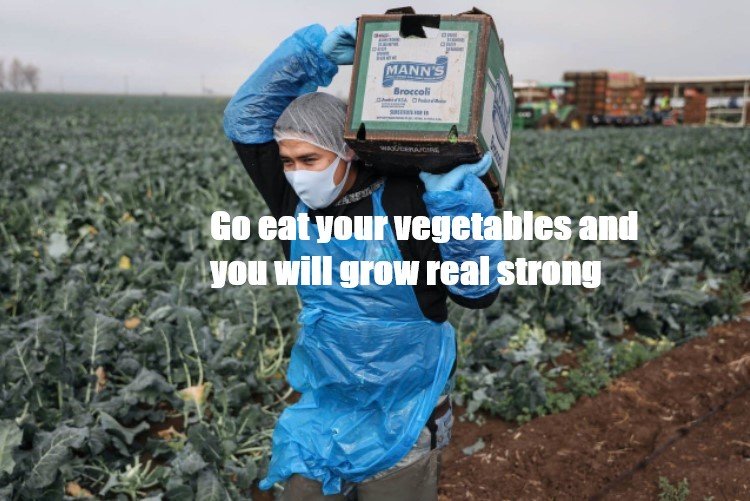 eat your vegetables.jpg